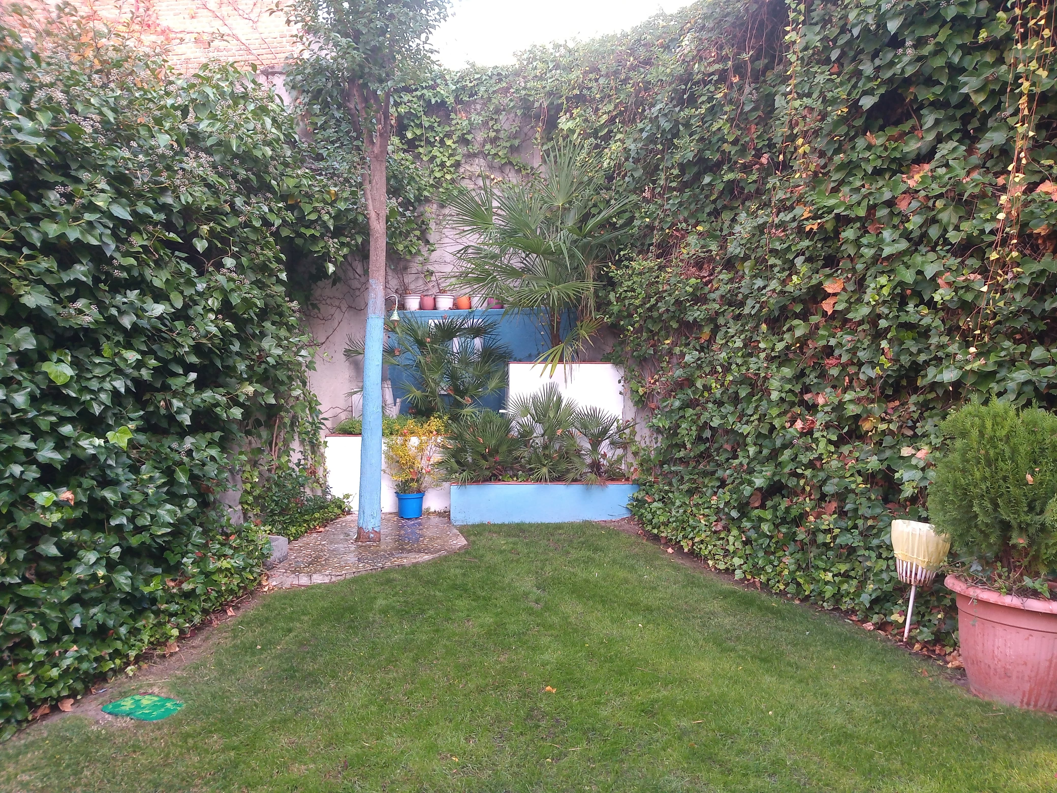 Proyecto 9